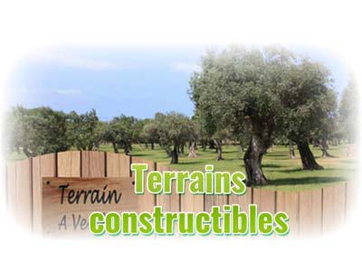 Des terrains constructibles pour votre projet de construction